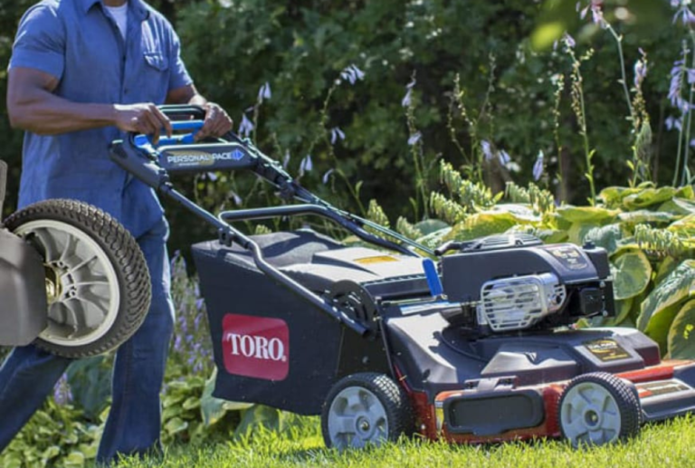 Troy Bilt wc28 vs Toro Timemaster Which is The Best For Your Needs?