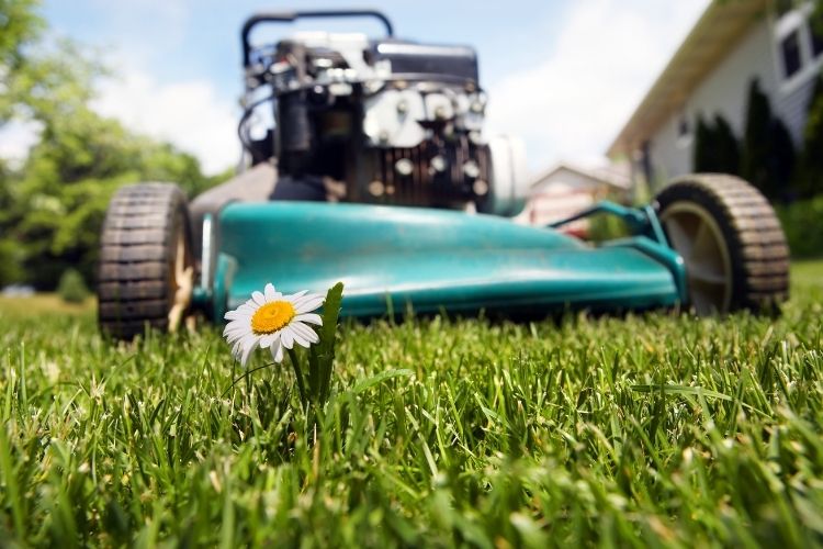 Types Of Lawnmowers