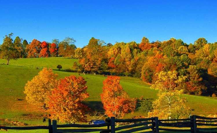 North Carolina Climate