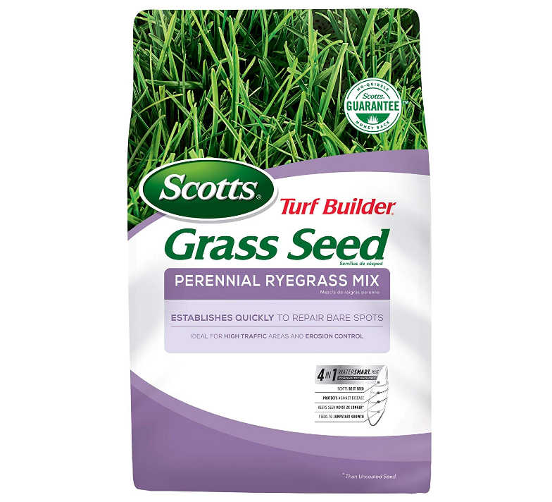 best-grass-seed-for-ohio-how-to-choose-the-correct-one-turf-till