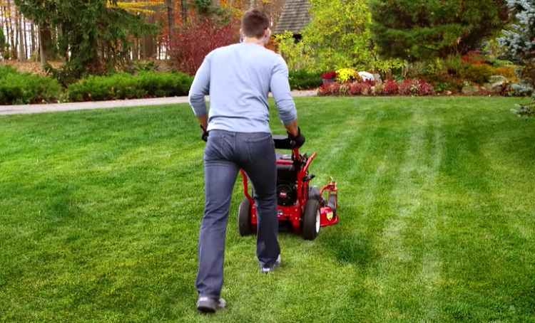 Troy Bilt Flex Review