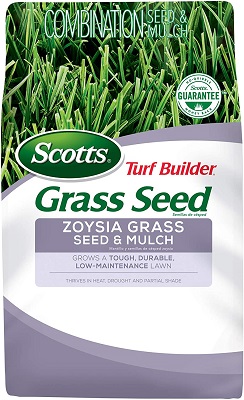 Zoysia Grass Seed 