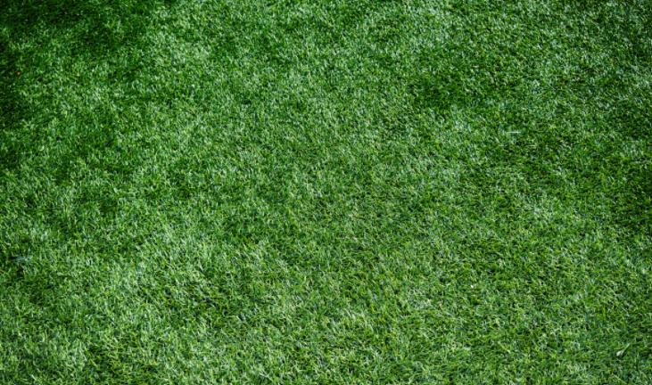 artificial turf