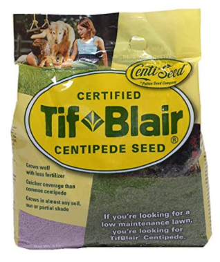 centripede turf seeds