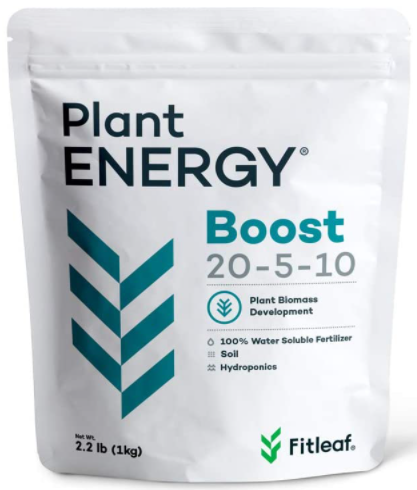 fitleaf pant energy boost