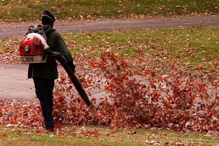 Best Leaf Blowers