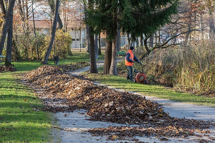 outdoor leaf blower