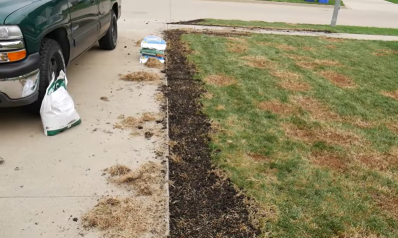 overseeding a lawn