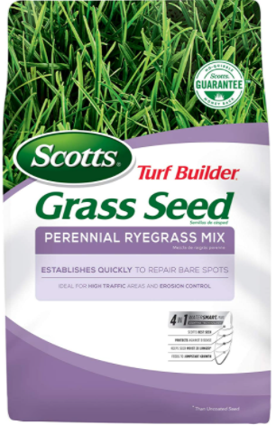 perennial ryegrass mix