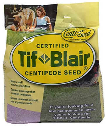 tifblair centripede grass seed