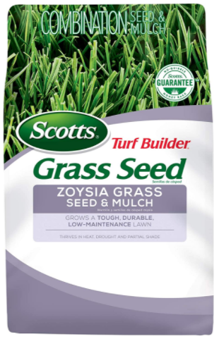 zoysia grass