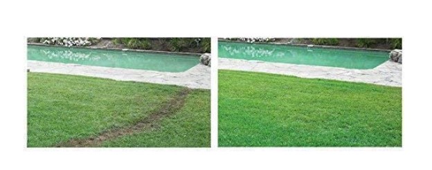 Hydroseeding vs Sod