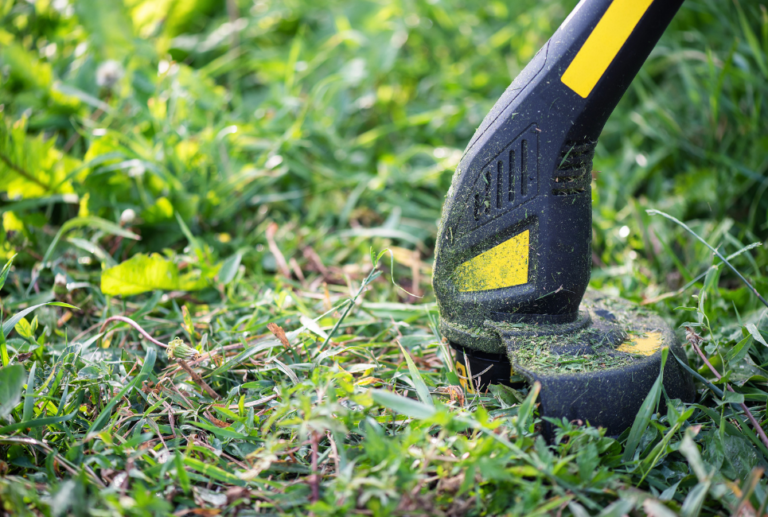 The Best Grass Catchers Comprehensive Review with Buying Guide