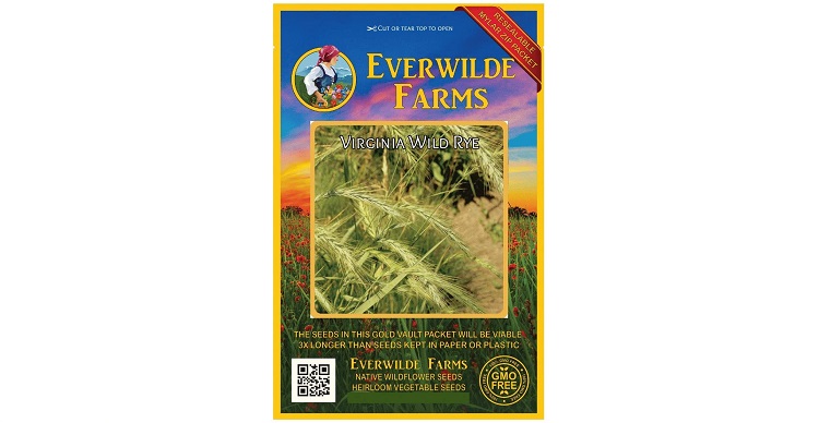 Everwilde Farms - 1 Oz Virginia Wild Rye Native Grass Seeds