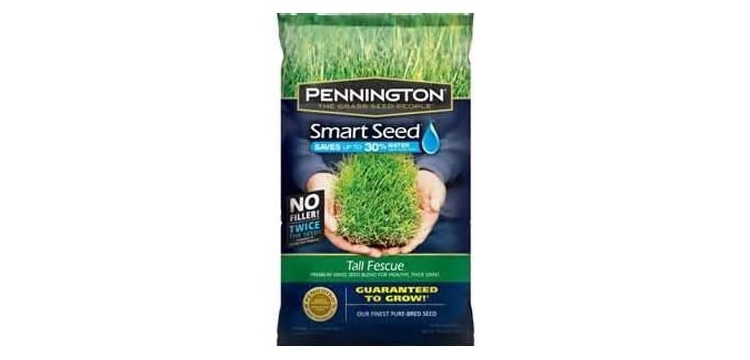 Pennington 100086830 Smart Seed Tall Fescue Premium Grass