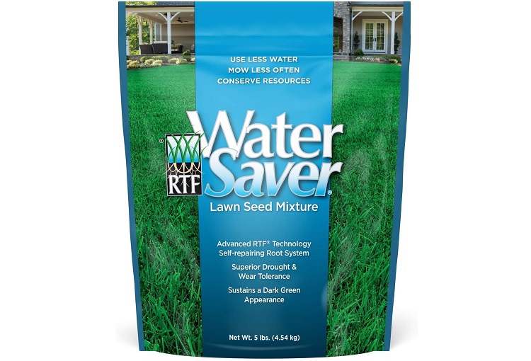 WaterSaver Grass Mixture with Turf-Type Tall Fescue