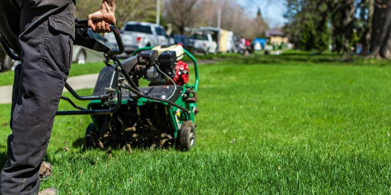 Lawn Aeration