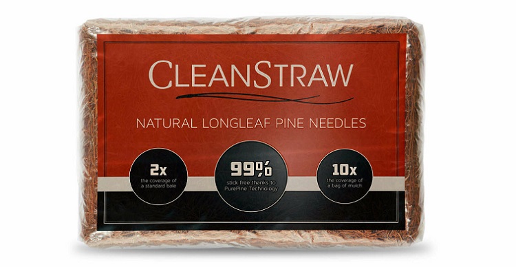 CleanStraw Natural Longleaf Pine Straw