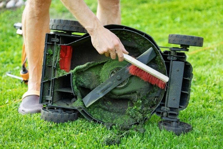 Cleaning Lawnmower