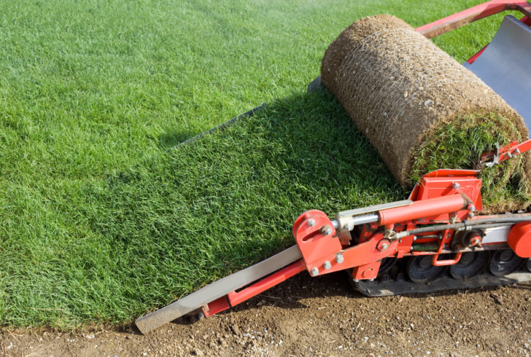 How to Cut Sod Guide And Prepare The Yard For New Grass Turf&Till