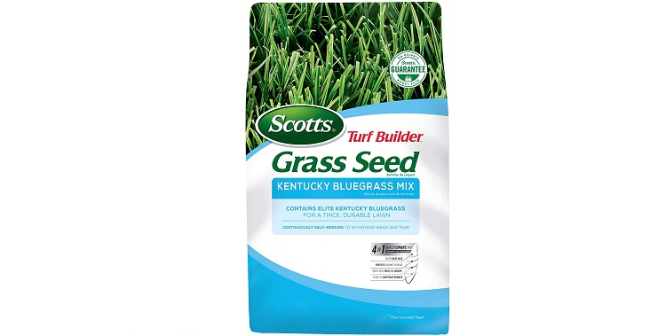 Kentucky Bluegrass Recommended Product