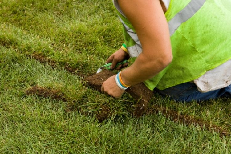 Using a Sod Cutter