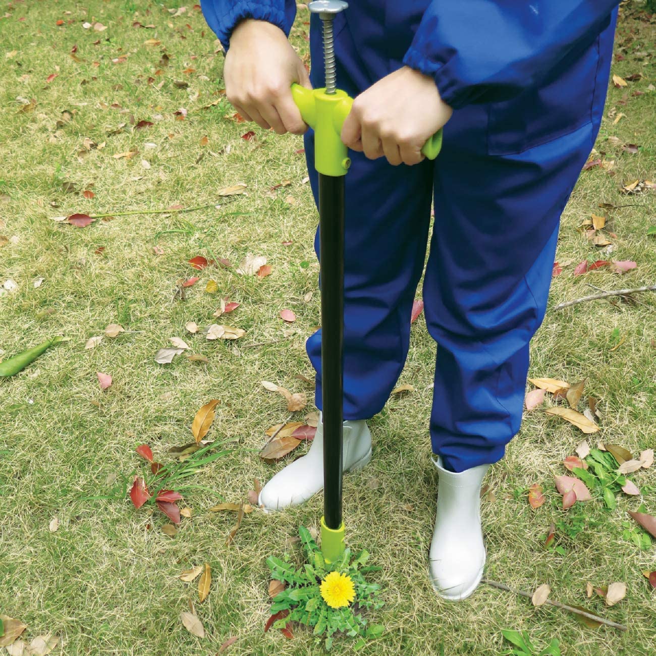 Dandelion Puller types