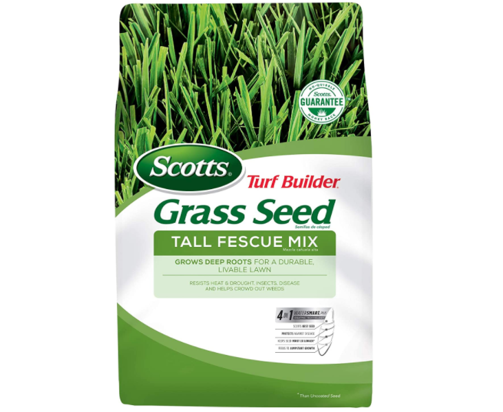 Grass Seed