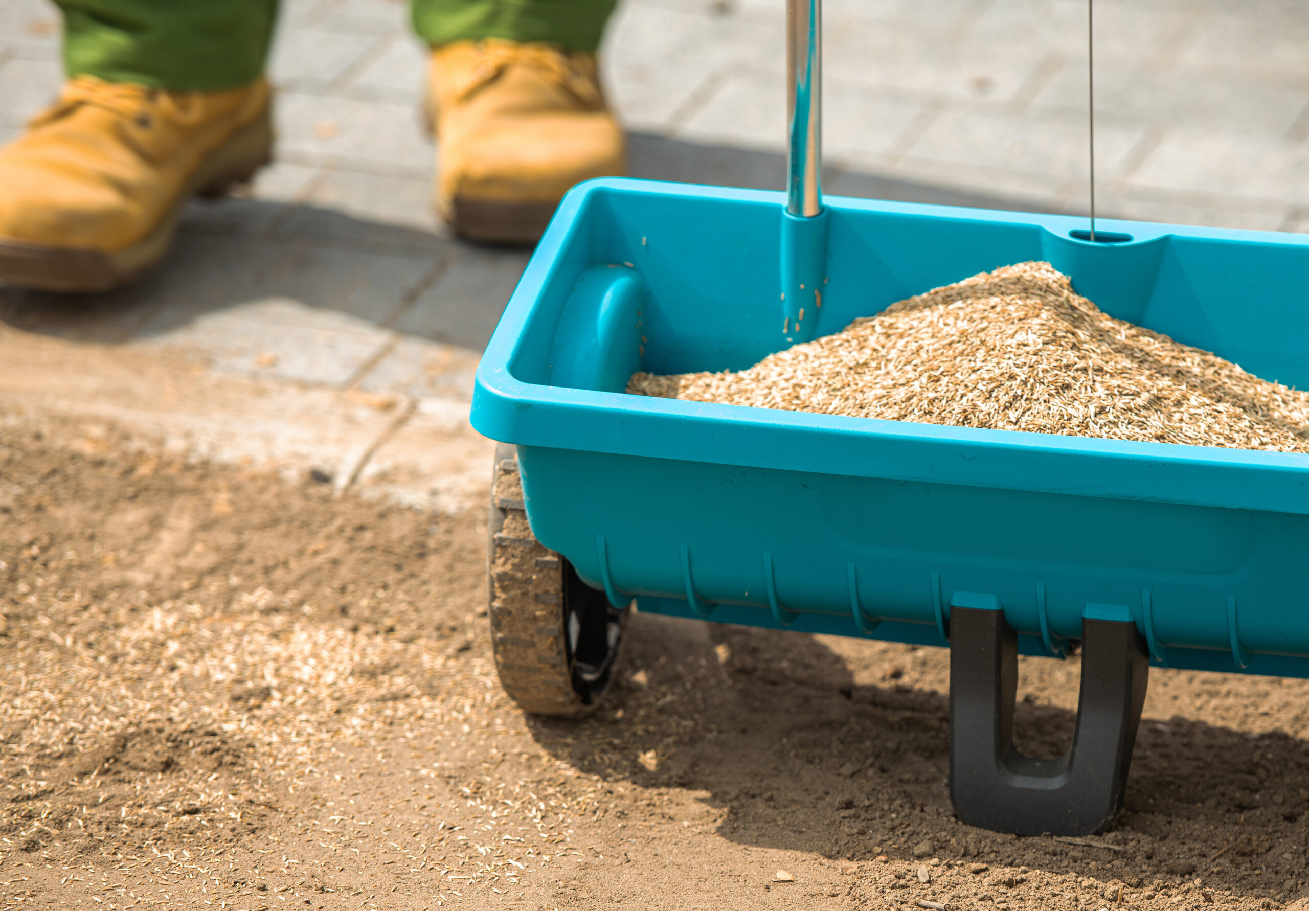 Centipede Grass Sod Guide How To Grow And Care For Your Sod