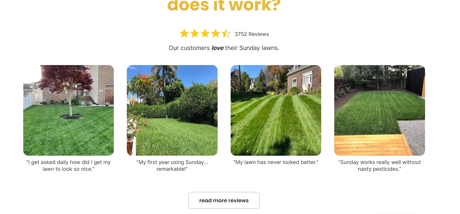 sunday-lawn-care-review-2022-guide-before-buying-turf-till