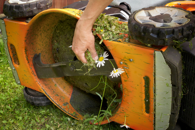 Lawn Mower Blades