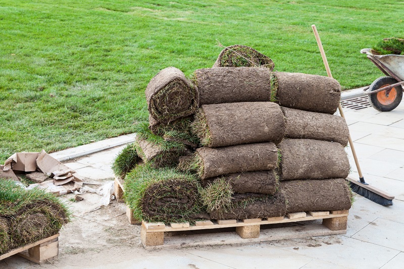 how to choose a sod cutter