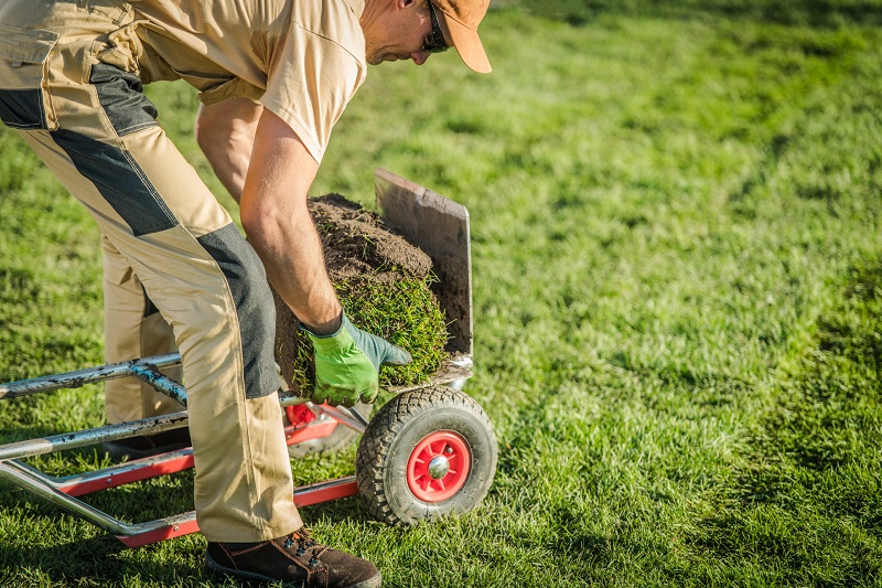 sod cutter gardener