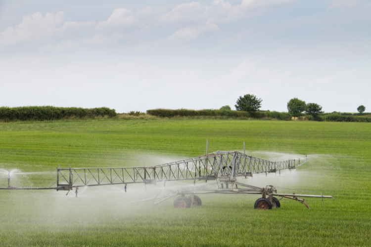 Grass Irrigation