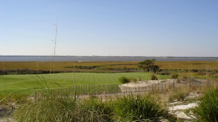 seashore paspalum georgia